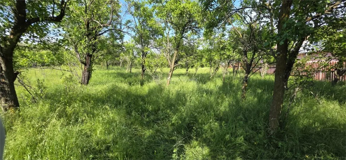 Terrain 3 000 m² Zone Urbanisée Razvad Redeventei - foto 4