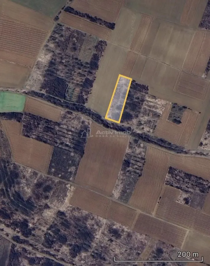Terrain Agricole à Vendre – Dealul Viilor, Biharia | 3 000 m² - foto 2