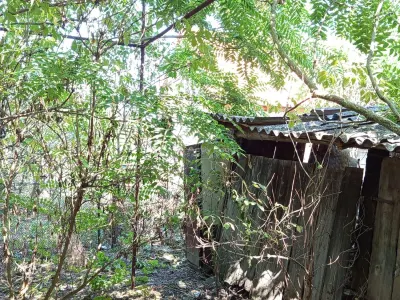 Iam, Casa de 5 Dormitorios con Terreno, 1.439 m² Parcela, Negociable - foto 11