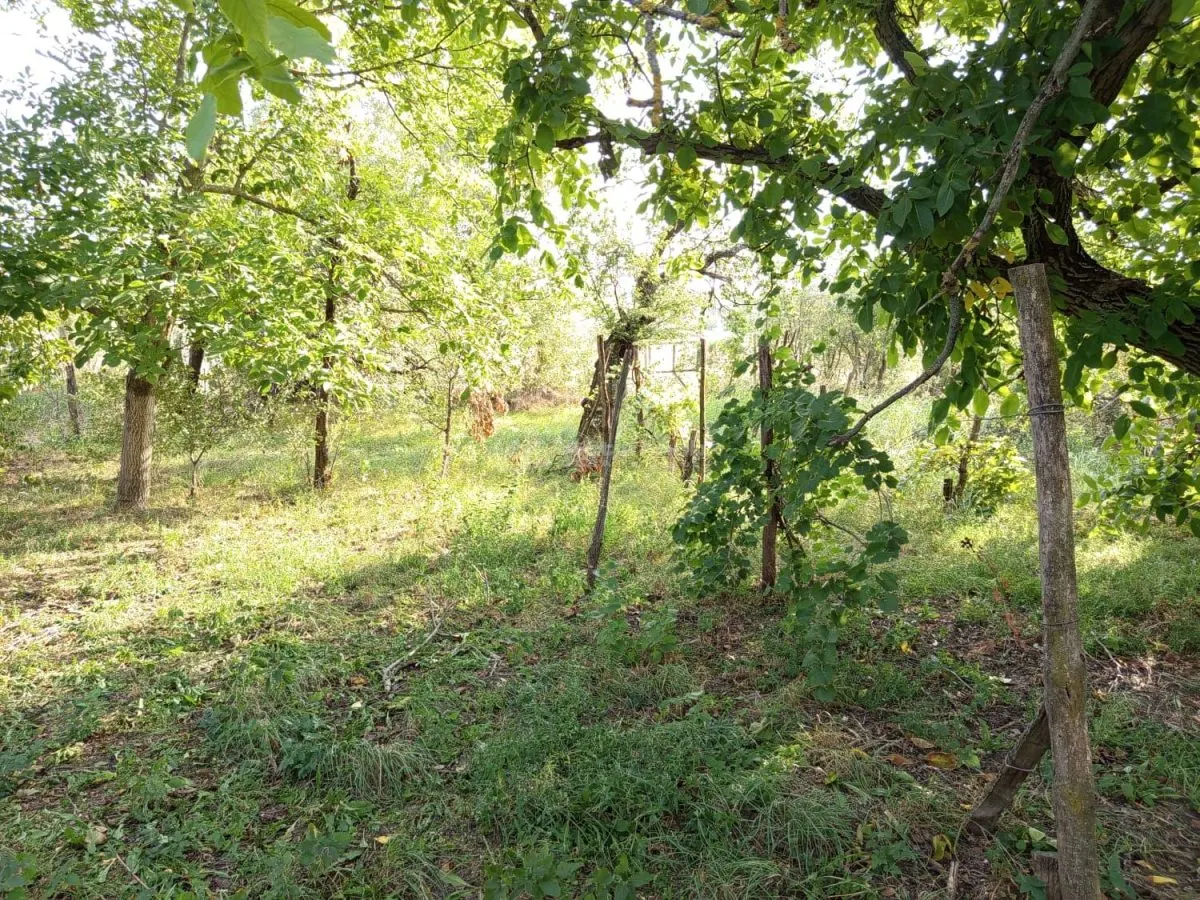 Ciuchici, Maison 7 Pièces, 1.151 m² Terrain, Prix Négociable, Zéro Commission - foto 13
