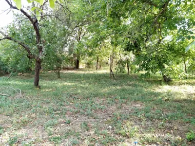 Ciuchici, Maison 7 Pièces, 1.151 m² Terrain, Prix Négociable, Zéro Commission - foto 14