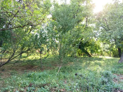 Ciuchici, Maison 7 Pièces, 1.151 m² Terrain, Prix Négociable, Zéro Commission - foto 15