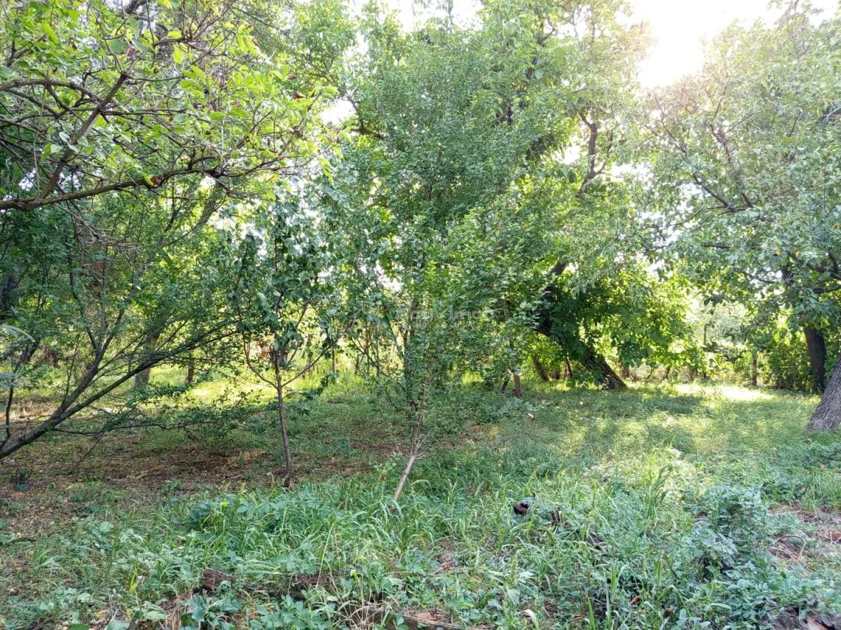 Ciuchici, Maison 7 Pièces, 1.151 m² Terrain, Prix Négociable, Zéro Commission - foto 15