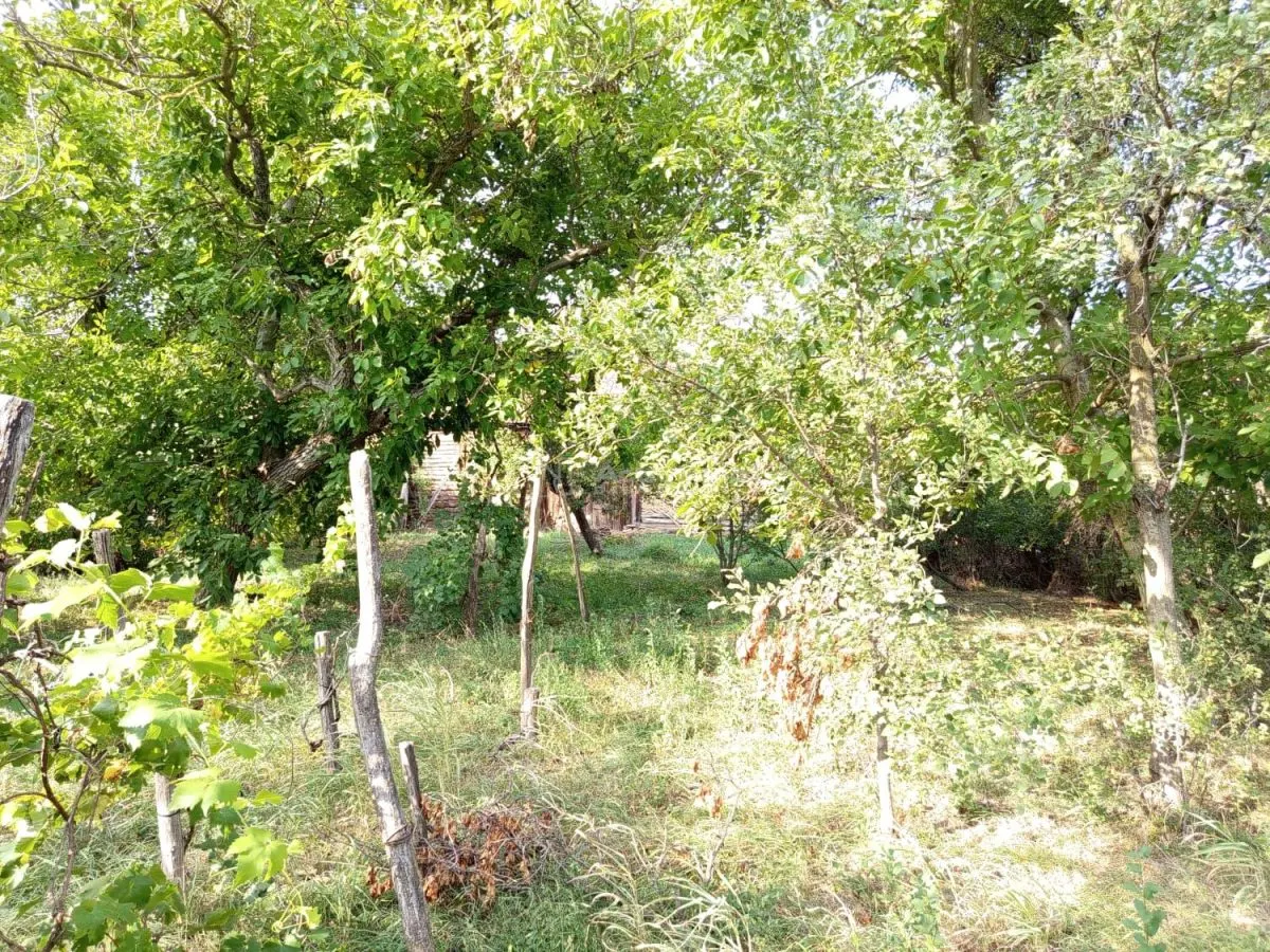Ciuchici, Maison 7 Pièces, 1.151 m² Terrain, Prix Négociable, Zéro Commission - foto 16