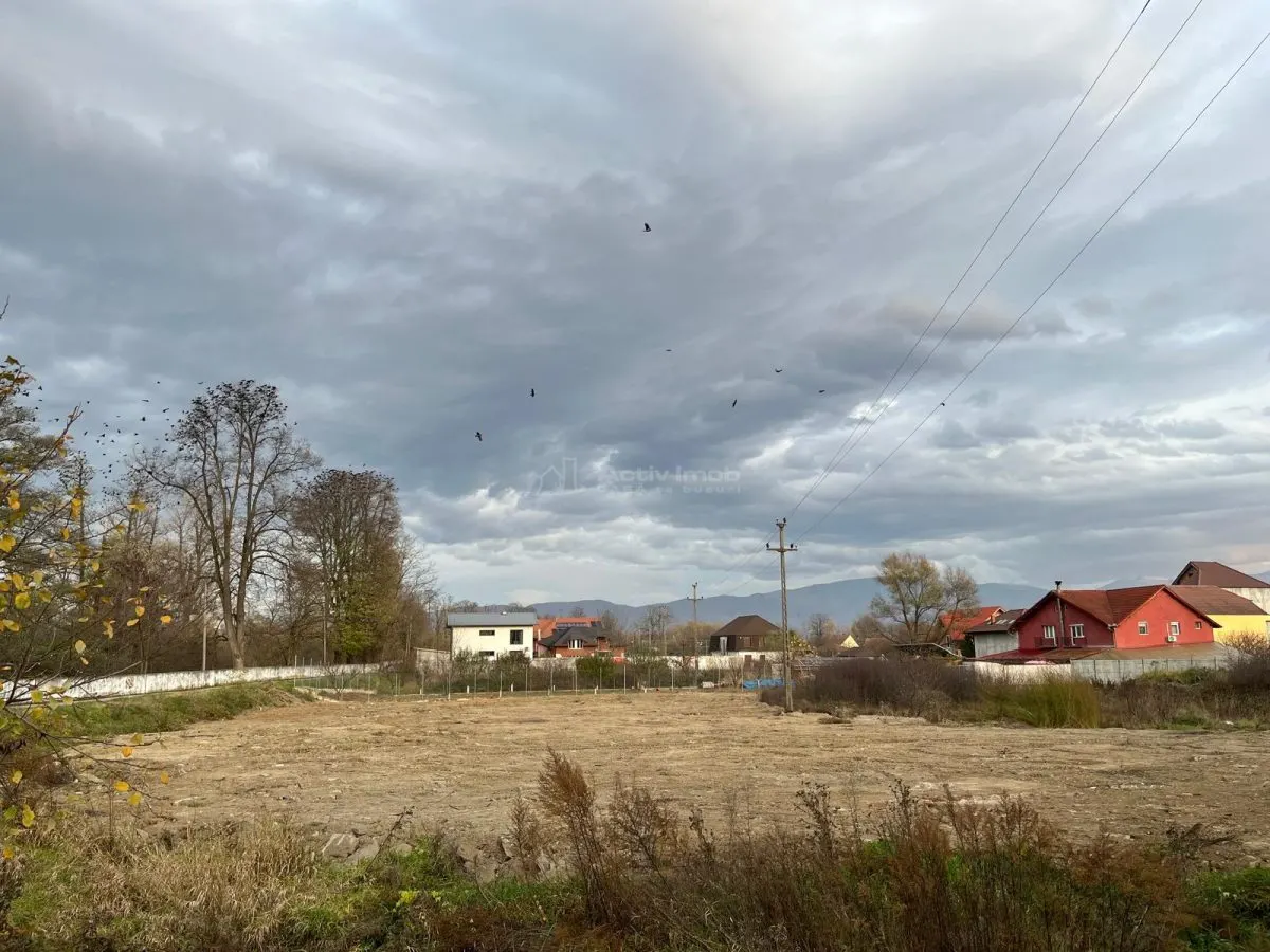 Caransebes, Terrain Constructible 3.150 m², Quartier Teius - foto 1