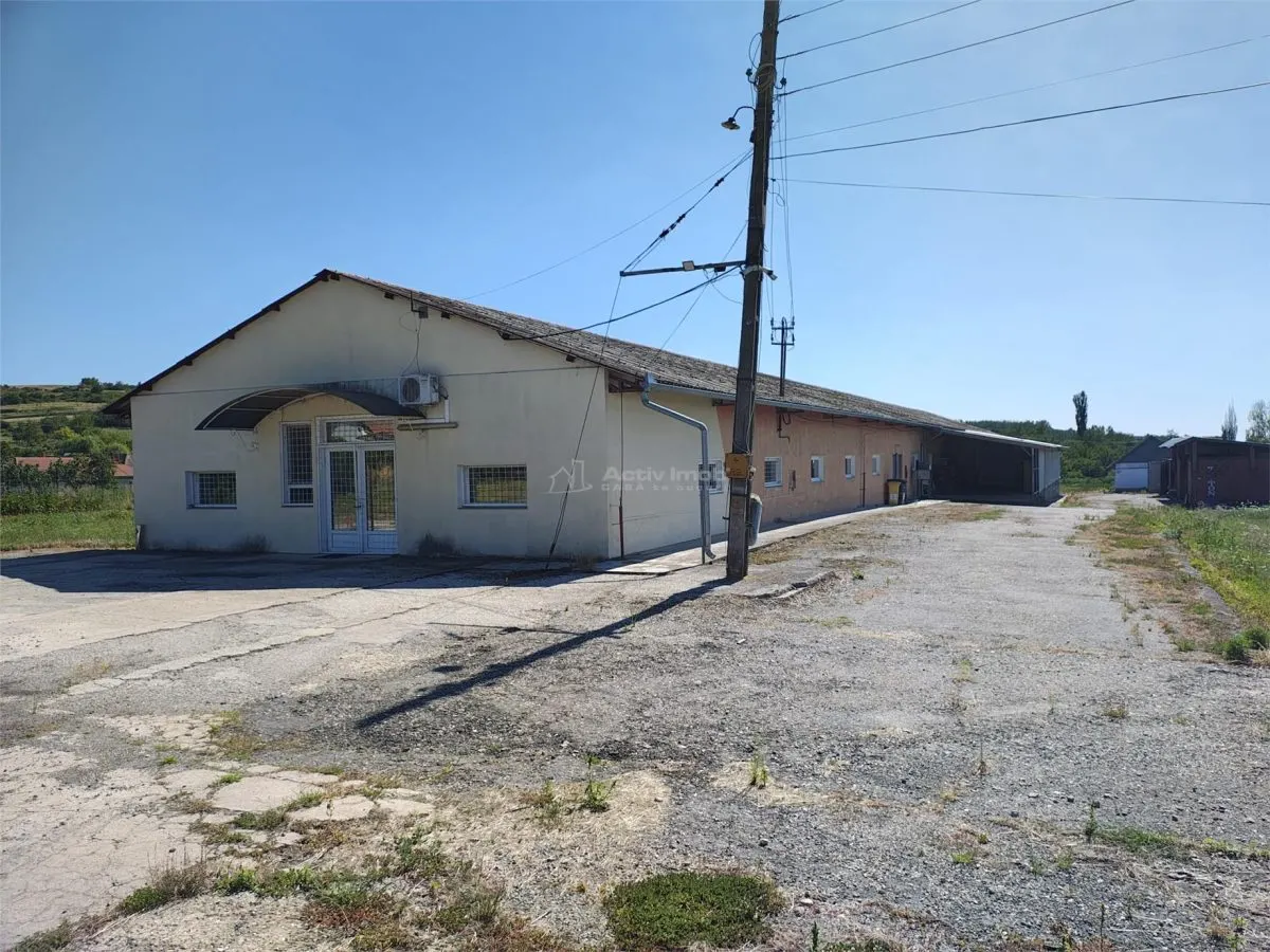 Hala industriala de vanzare sau inchiriere– Misca - judetul Bihor - 972 mp construiti -Teren 12538 mp - Utilitati complete - foto 1