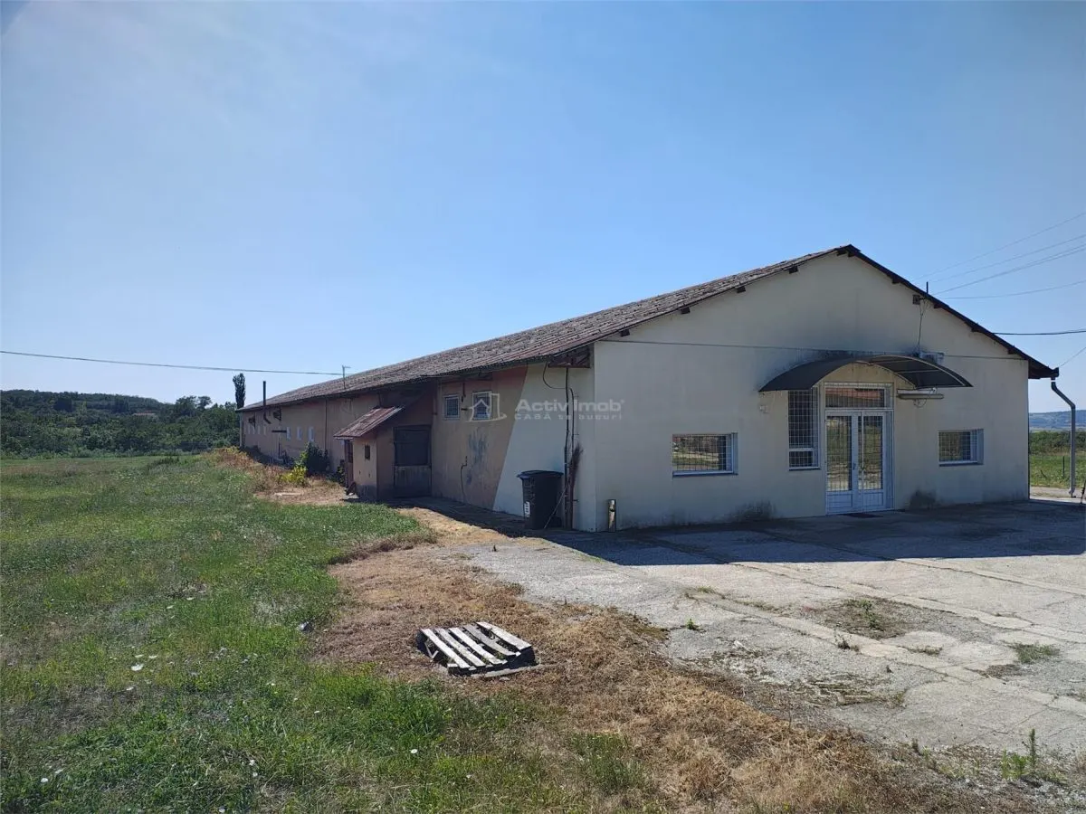 Hala industriala de vanzare sau inchiriere– Misca - judetul Bihor - 972 mp construiti -Teren 12538 mp - Utilitati complete - foto 2