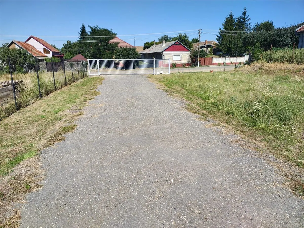 Hala industriala de vanzare sau inchiriere– Misca - judetul Bihor - 972 mp construiti -Teren 12538 mp - Utilitati complete - foto 5
