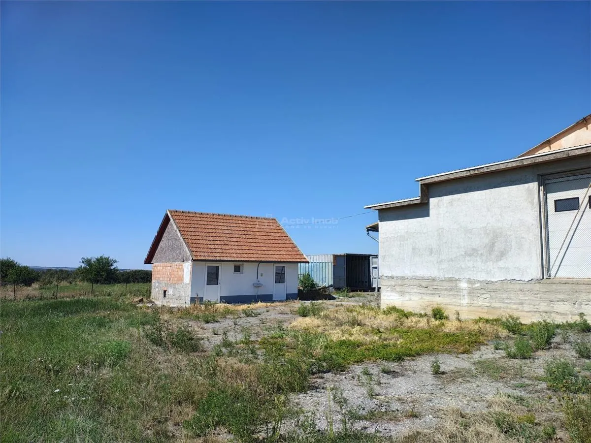 Hala industriala de vanzare sau inchiriere– Misca - judetul Bihor - 972 mp construiti -Teren 12538 mp - Utilitati complete - foto 6