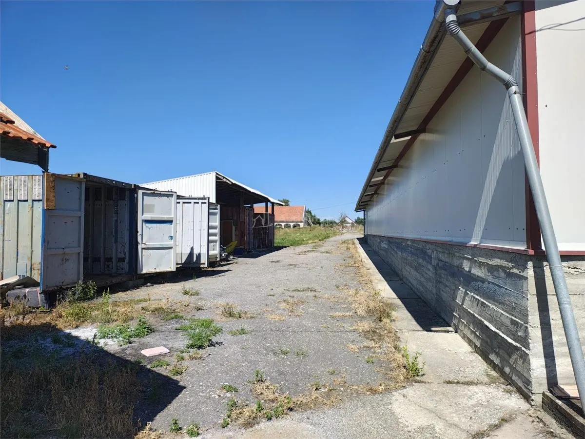 Hala industriala de vanzare sau inchiriere– Misca - judetul Bihor - 972 mp construiti -Teren 12538 mp - Utilitati complete - foto 9