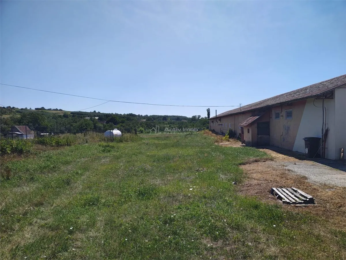 Hala industriala de vanzare sau inchiriere– Misca - judetul Bihor - 972 mp construiti -Teren 12538 mp - Utilitati complete - foto 10