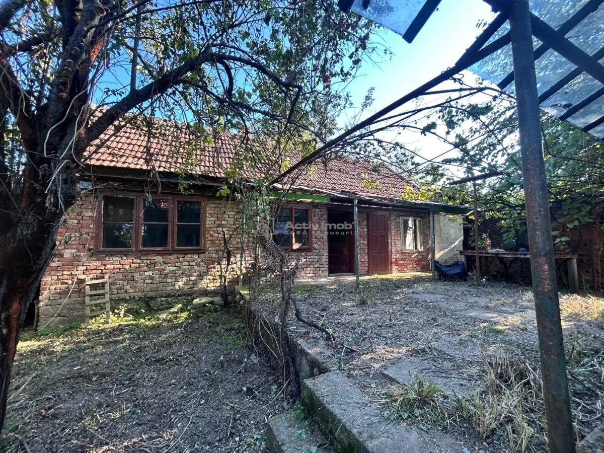 博察罗马纳：主街道两栋建筑物带地块和车库的房产 - foto 8