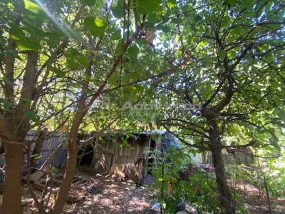 布加勒斯特新区地块，优越位置 - foto 2
