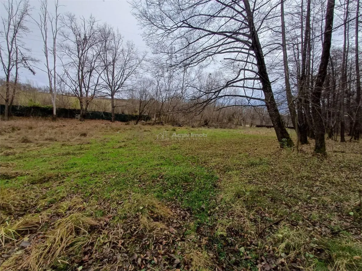 Resita, Terrain Constructible Lotissable, Près du Ruisseau et Route, 4500 m², €15/m² - foto 11