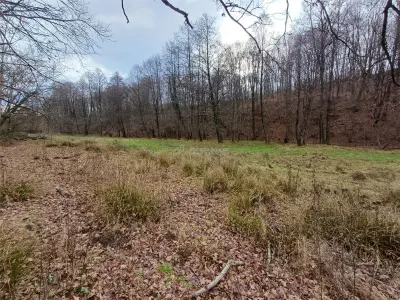 Resita, Terrain Constructible Lotissable, Près du Ruisseau et Route, 4500 m², €15/m² - foto 12