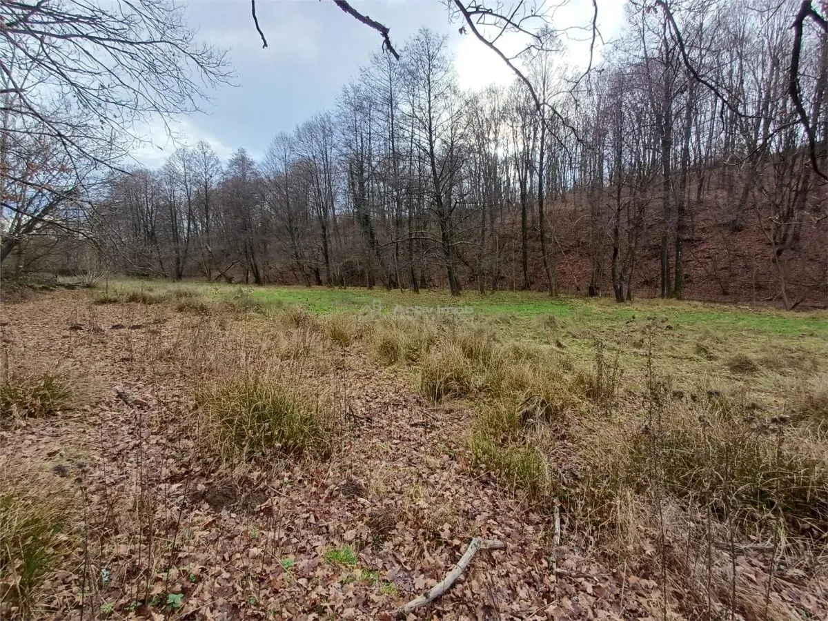 Resita, Terrain Constructible Lotissable, Près du Ruisseau et Route, 4500 m², €15/m² - foto 12