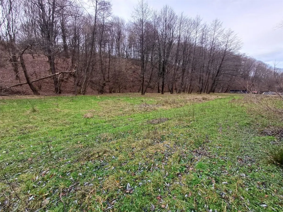 Resita, Terrain Constructible Lotissable, Près du Ruisseau et Route, 4500 m², €15/m² - foto 13