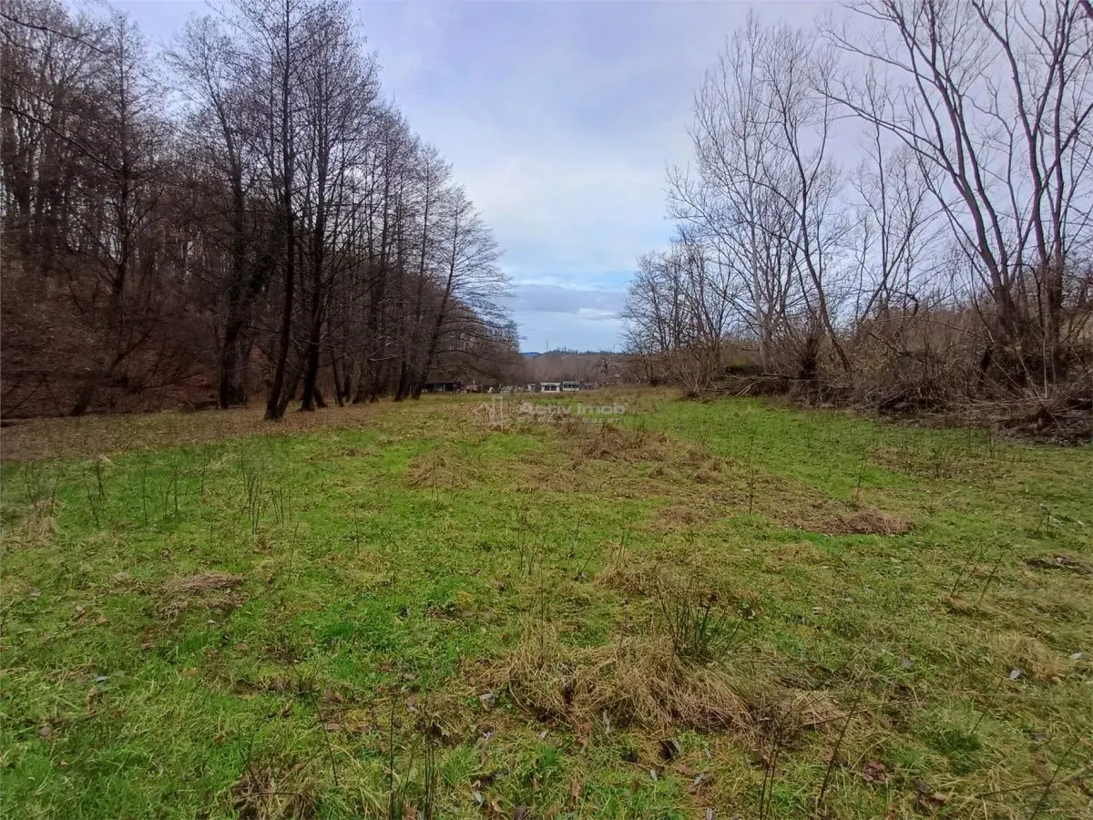 Resita, Terrain Constructible Lotissable, Près du Ruisseau et Route, 4500 m², €15/m² - foto 4