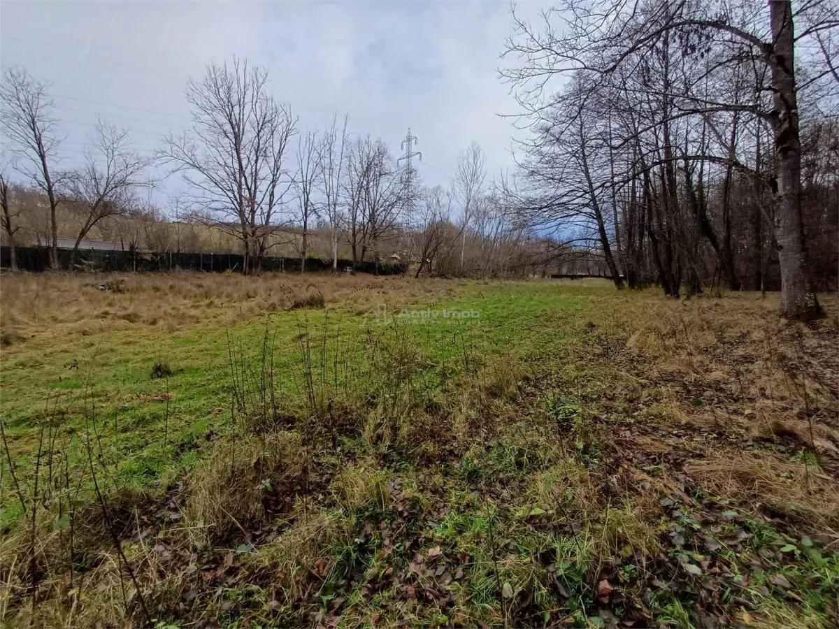 Resita, Terrain Constructible Lotissable, Près du Ruisseau et Route, 4500 m², €15/m² - foto 6