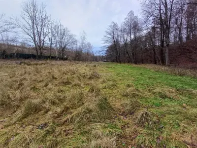 Resita, Terrain Constructible Lotissable, Près du Ruisseau et Route, 4500 m², €15/m² - foto 7