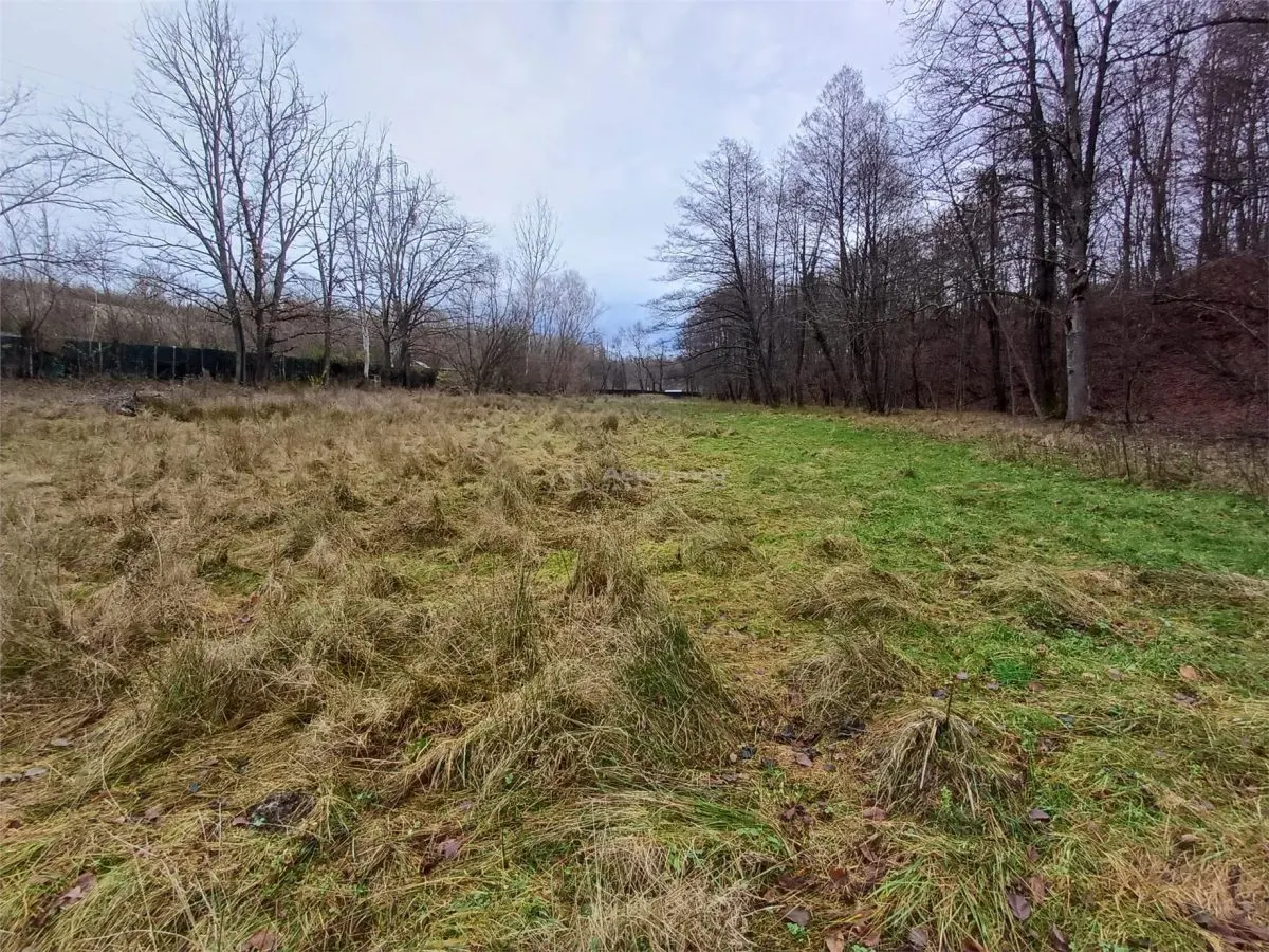 Resita, Terrain Constructible Lotissable, Près du Ruisseau et Route, 4500 m², €15/m² - foto 7