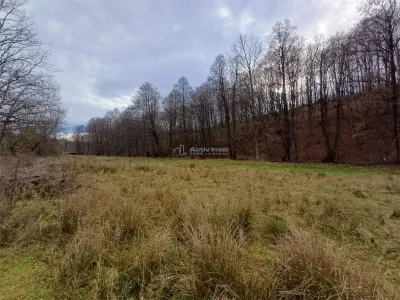 Resita, Terrain Constructible Lotissable, Près du Ruisseau et Route, 4500 m², €15/m² - foto 9
