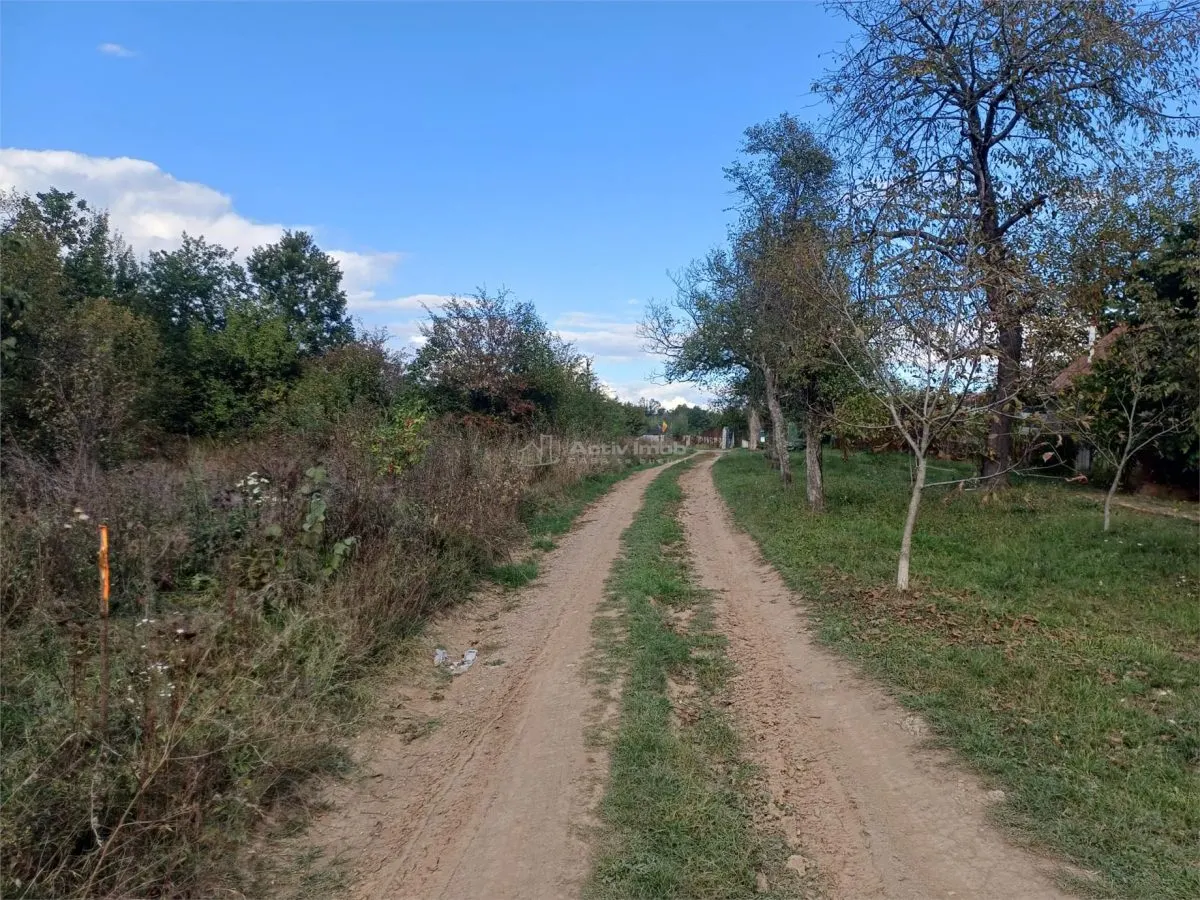 Resita, Terrain Urbain 2.819 m², 16 €/m², Calea Caransebesului, Km 6 - foto 13