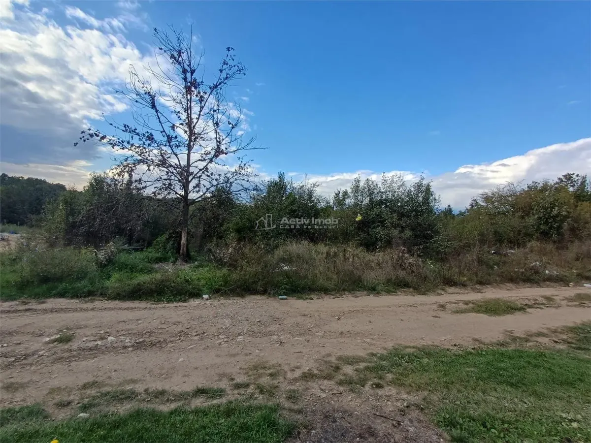 Resita, Terrain Urbain 2.819 m², 16 €/m², Calea Caransebesului, Km 6 - foto 7
