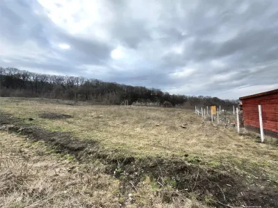 Terreno de 1.000 m² en Venta en el Borde del Bosque, Șura Mare - Sura Mare