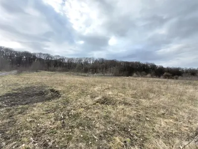 Terrain de 1 000 m² à Vendre en Lisière de Forêt, Șura Mare - foto 2
