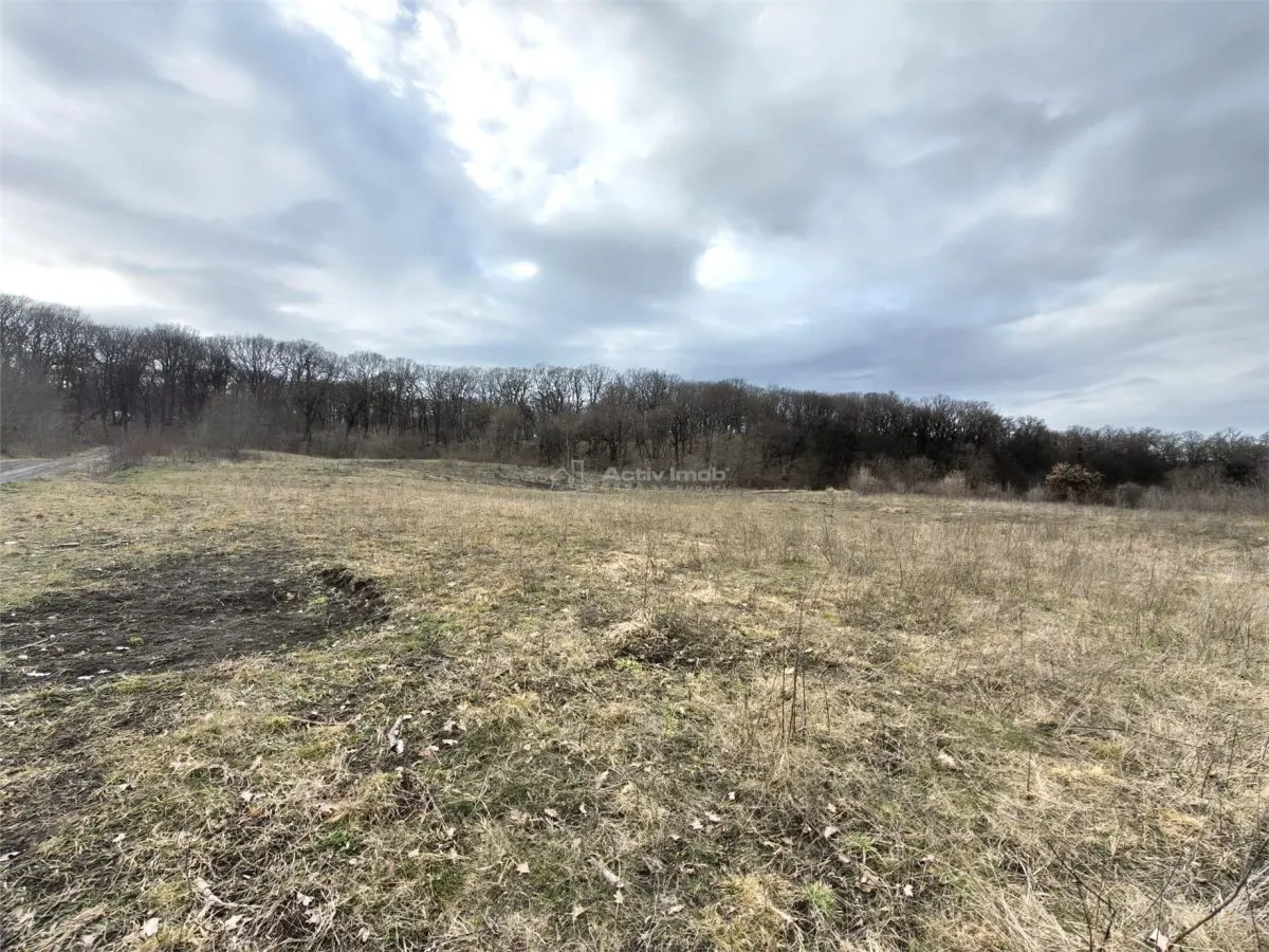 Terrain de 1 000 m² à Vendre en Lisière de Forêt, Șura Mare - foto 2