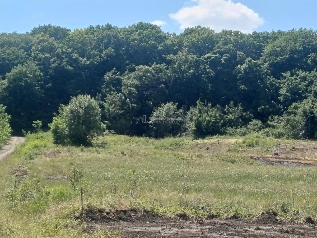 Terrain de 1 000 m² à Vendre en Lisière de Forêt, Șura Mare - foto 3