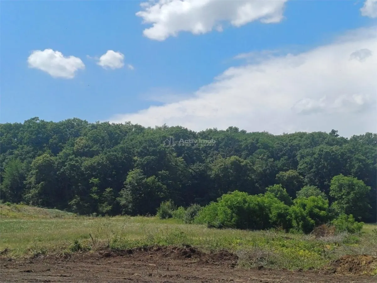 Terrain de 1 000 m² à Vendre en Lisière de Forêt, Șura Mare - foto 4