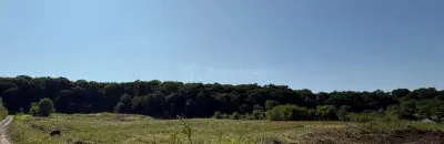Terrain de 1 000 m² à Vendre en Lisière de Forêt, Șura Mare - foto 5
