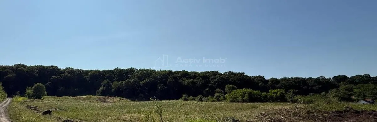 Terrain de 1 000 m² à Vendre en Lisière de Forêt, Șura Mare - foto 5