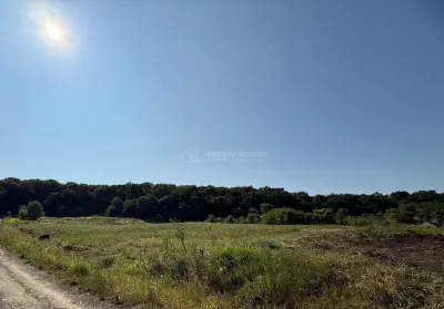 Terrain de 1 000 m² à Vendre en Lisière de Forêt, Șura Mare - foto 6