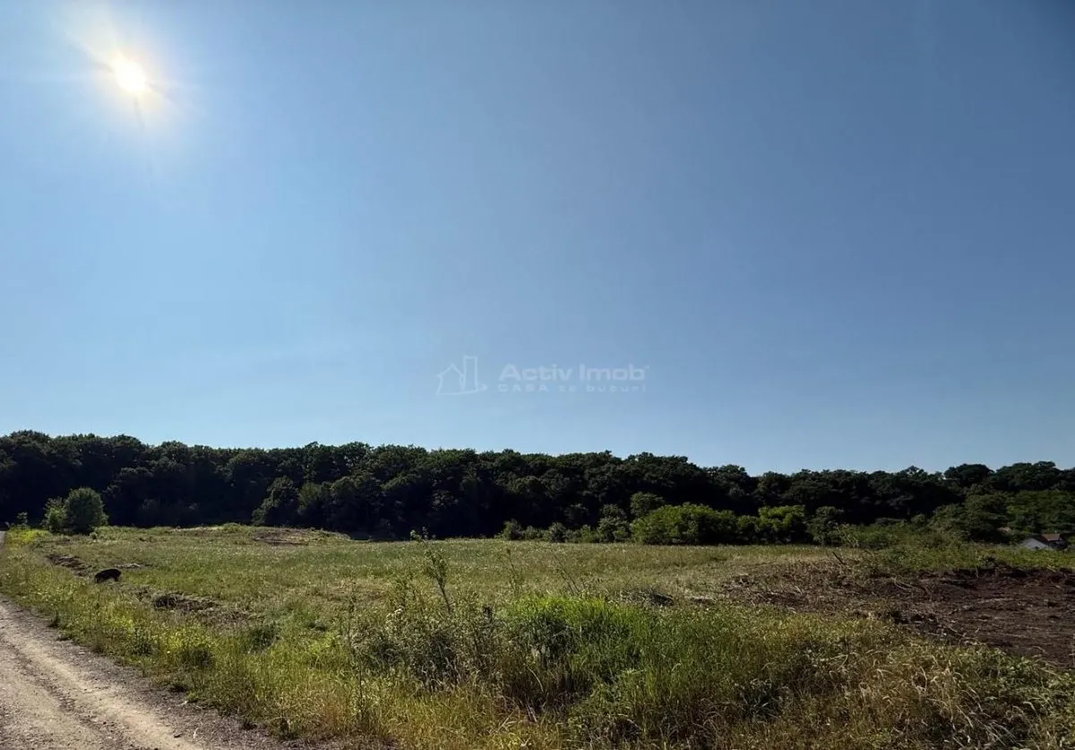 Terrain de 1 000 m² à Vendre en Lisière de Forêt, Șura Mare - foto 6