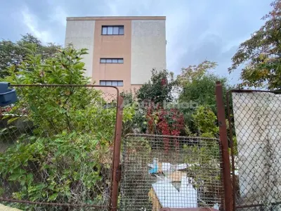 班纳萨地块—玛丽亚女王医院区域，优越地段 - Bucuresti