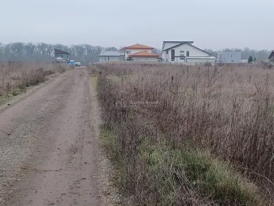科尔比安卡特雷·拉库里街地块出售 – 科利纳湖区域 - foto 6