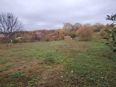 Terrain Lotissable en Zone Paisible, à 10 Minutes de Ploiești - foto 2
