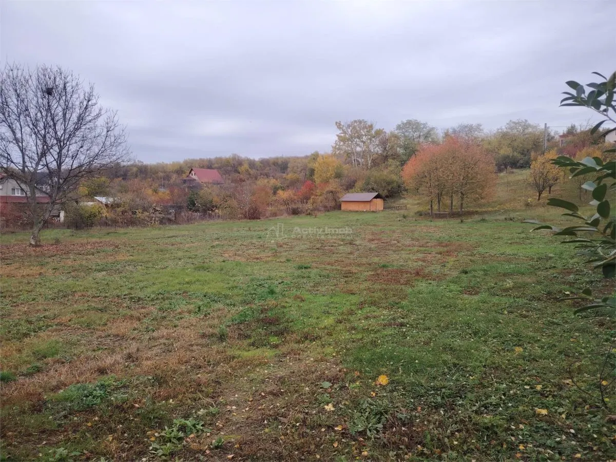 Terrain Lotissable en Zone Paisible, à 10 Minutes de Ploiești - foto 2