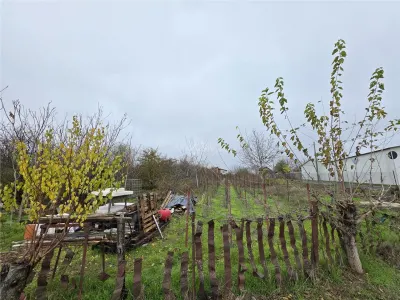 布兰什蒂地块 - 奥尔图卢街 - 1600平方米 - 16米临街面 - foto 2