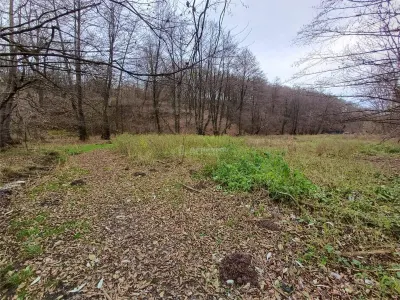 Resita, Terrain Intravilan Régulier, Bordant Ruisseau et Route, 1.308 m², €15/m² - foto 11