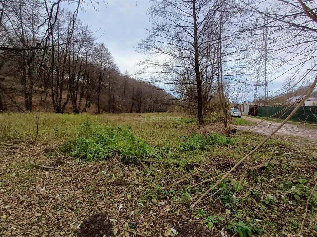 Resita, Terrain Intravilan Régulier, Bordant Ruisseau et Route, 1.308 m², €15/m² - foto 12