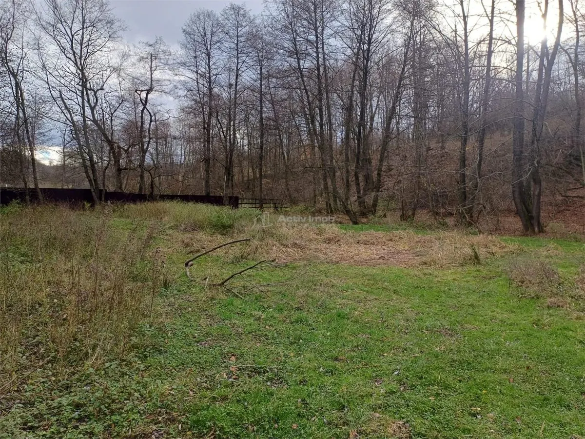 Resita, Terrain Intravilan Régulier, Bordant Ruisseau et Route, 1.308 m², €15/m² - foto 5