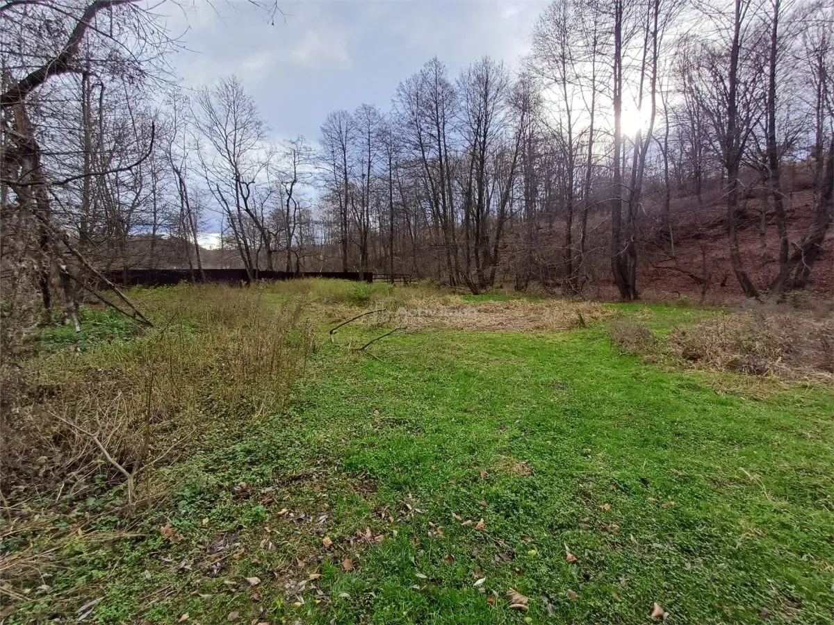Resita, Terrain Intravilan Régulier, Bordant Ruisseau et Route, 1.308 m², €15/m² - foto 7