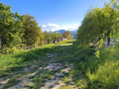 قطعة أرض للبيع بالقرب من Camping Rotarii مع مشروع منزل - Talmaciu