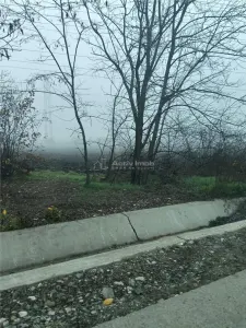 Terrenos en Venta en Cornetu y Buda – Todas las Utilidades – Acceso Asfaltado - foto 4