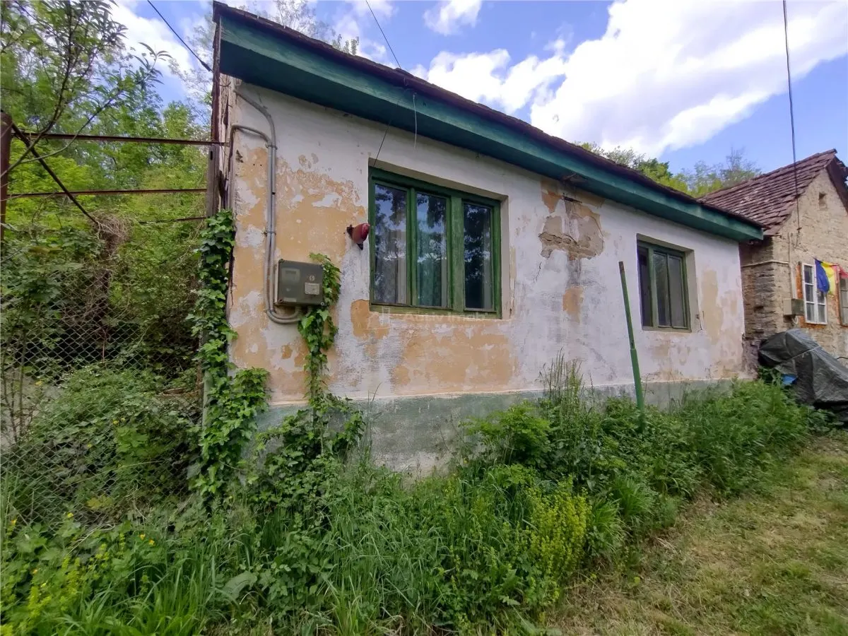 Sasca Montana | Oportunidad | Casa con Terreno de 230 m² - foto 2