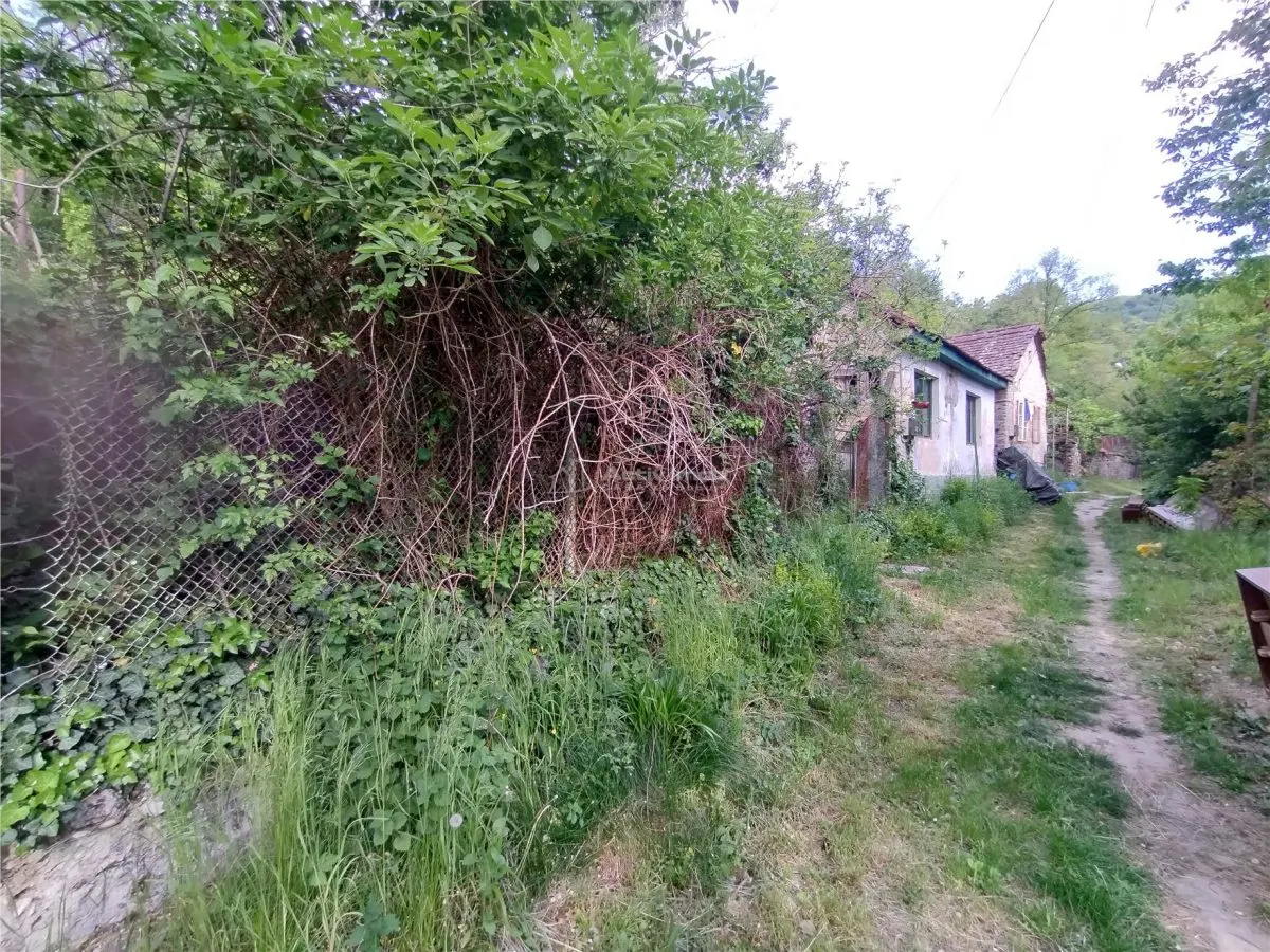 Sasca Montana | Oportunidad | Casa con Terreno de 230 m² - foto 6